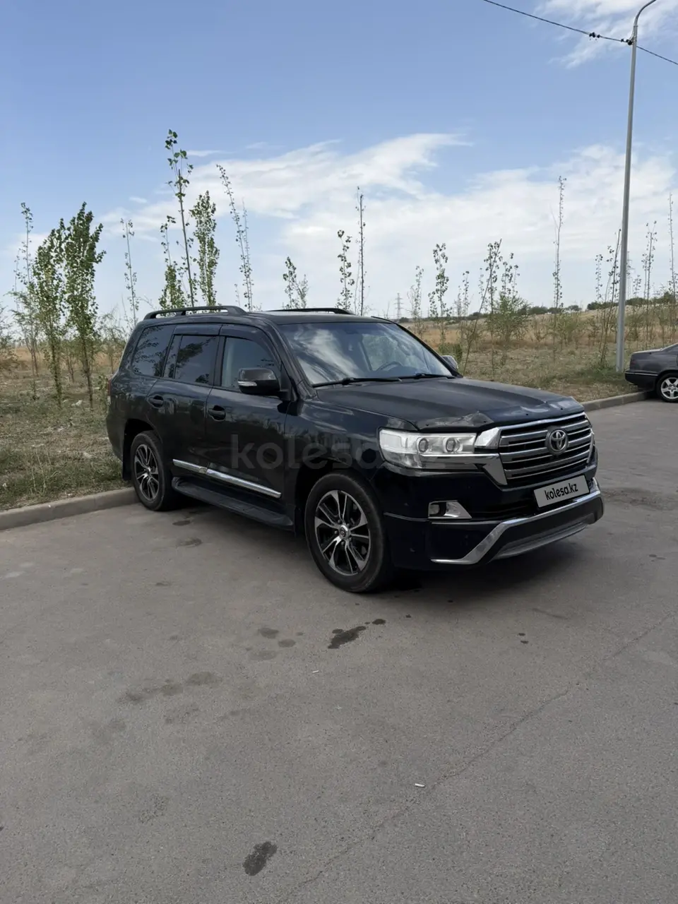 Toyota Land Cruiser, 2010