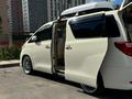 Toyota Alphard 2012 года за 13 000 000 тг. в Жезказган – фото 7