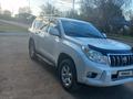 Toyota Land Cruiser Prado 2010 года за 15 000 000 тг. в Кентау – фото 10