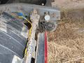 Volvo  FH 12 1997 года за 14 500 000 тг. в Экибастуз – фото 3