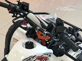 Peda  Квадрациклы и скутера Kayo, alfa shark, atv moto 2021 годаүшін440 000 тг. в Усть-Каменогорск – фото 4