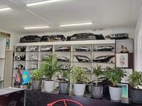 ИП "Autoparts_Shymkent17" в Шымкент