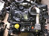 Двигатель M9R, объем 2.0 л Nissan X TRAIL, Ниссан Х трайл 2, 0лfor10 000 тг. в Шымкент