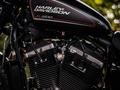 Harley-Davidson  Roadster 1200 Turbo 2020 года за 11 000 000 тг. в Алматы – фото 14