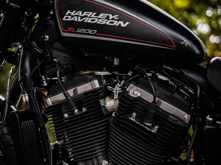 Harley-Davidson  Roadster 1200 Turbo 2020 года за 11 000 000 тг. в Алматы – фото 14