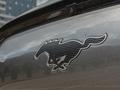 Ford Mustang Mach-E 2022 годаүшін38 000 000 тг. в Алматы – фото 4