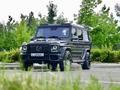 Mercedes-Benz G 500 2002 годаүшін16 500 000 тг. в Алматы – фото 4