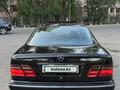 Mercedes-Benz E 55 AMG 2001 года за 4 700 000 тг. в Алматы – фото 7