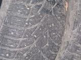 Toyo observe g3-ace за 40 000 тг. в Семей – фото 3