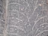 Toyo observe g3-ace за 40 000 тг. в Семей – фото 4