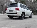 Toyota Land Cruiser 2013 года за 23 500 000 тг. в Караганда – фото 16