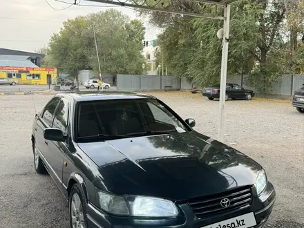 Toyota Camry 1998 года за 3 700 000 тг. в Тараз – фото 4