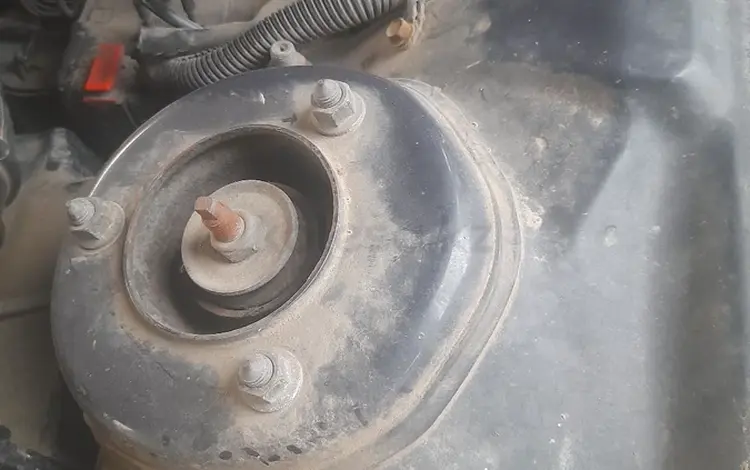 Чашка за 15 000 тг. в Алматы