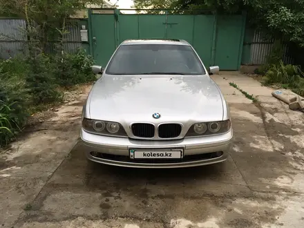 BMW 530 2003 года за 4 400 000 тг. в Тараз – фото 21