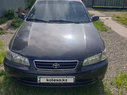 Toyota Camry 2001 года за 4 000 000 тг. в Алматы – фото 3