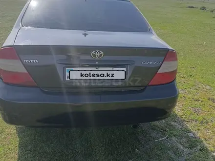 Toyota Camry 2003 года за 4 000 000 тг. в Зайсан – фото 7