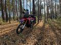 Honda  CRF 250 Rally 2020 года за 3 490 000 тг. в Астана – фото 8