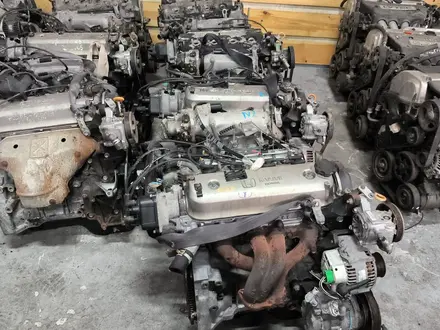 Двигатель Мотор АКПП Автомат F22B объём 2 литр Honda Accord Honda Odyssey за 305 000 тг. в Алматы – фото 2