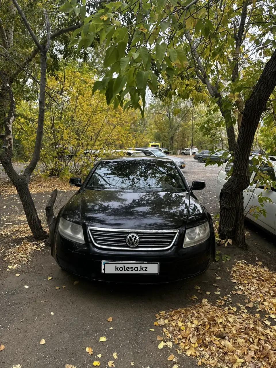Volkswagen Phaeton, 2005