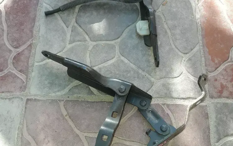 Петли капота шарниры за 9 000 тг. в Алматы