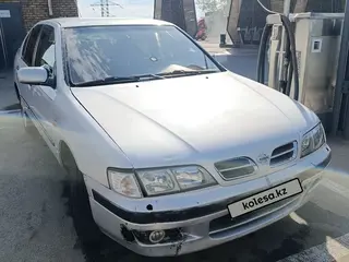 Nissan Primera