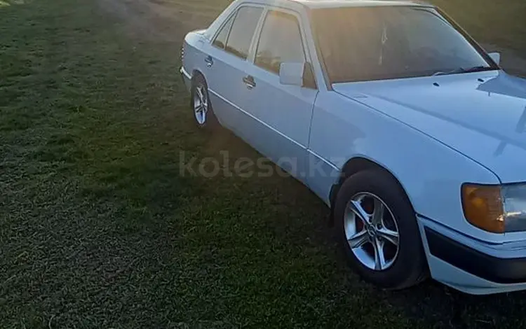 Mercedes-Benz E 260 1992 года за 3 300 000 тг. в Петропавловск