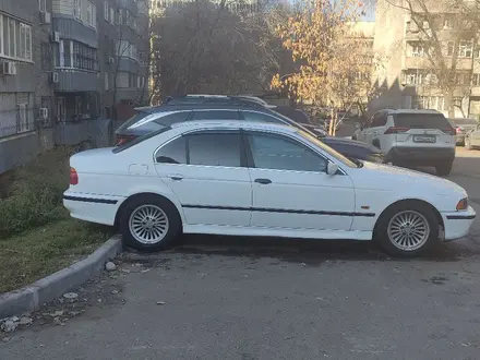 BMW 525 1996 года за 2 200 000 тг. в Алматы – фото 6