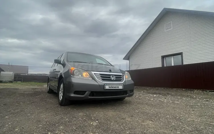 Honda Odyssey 2009 года за 7 450 000 тг. в Петропавловск