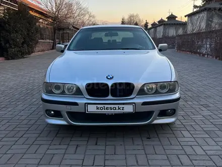 BMW 525 2002 года за 3 800 000 тг. в Алматы – фото 2