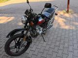 Racer  Alpha 2024 года за 290 000 тг. в Усть-Каменогорск – фото 4