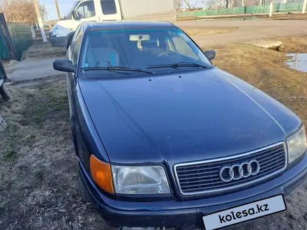 Audi 100 1991 года за 2 700 000 тг. в Петропавловск