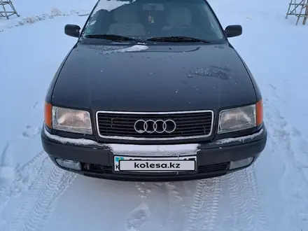 Audi 100 1991 года за 2 700 000 тг. в Петропавловск – фото 8