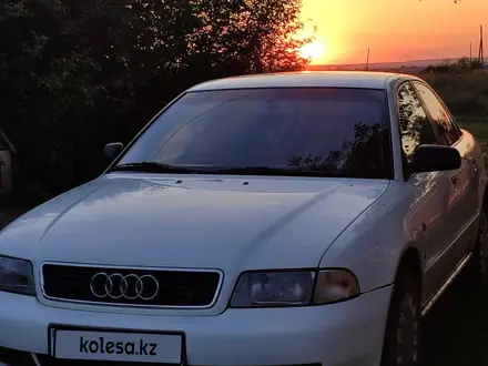 Audi A4 1995 года за 2 300 000 тг. в Кокшетау – фото 11