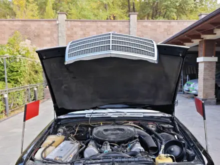 Mercedes-Benz S 350 1980 года за 25 000 000 тг. в Алматы – фото 16