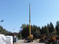 Zoomlion  Автокран 8 тонн 2019 года в Тараз – фото 90
