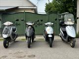 Honda  Dio 2013 годаүшін220 000 тг. в Алматы