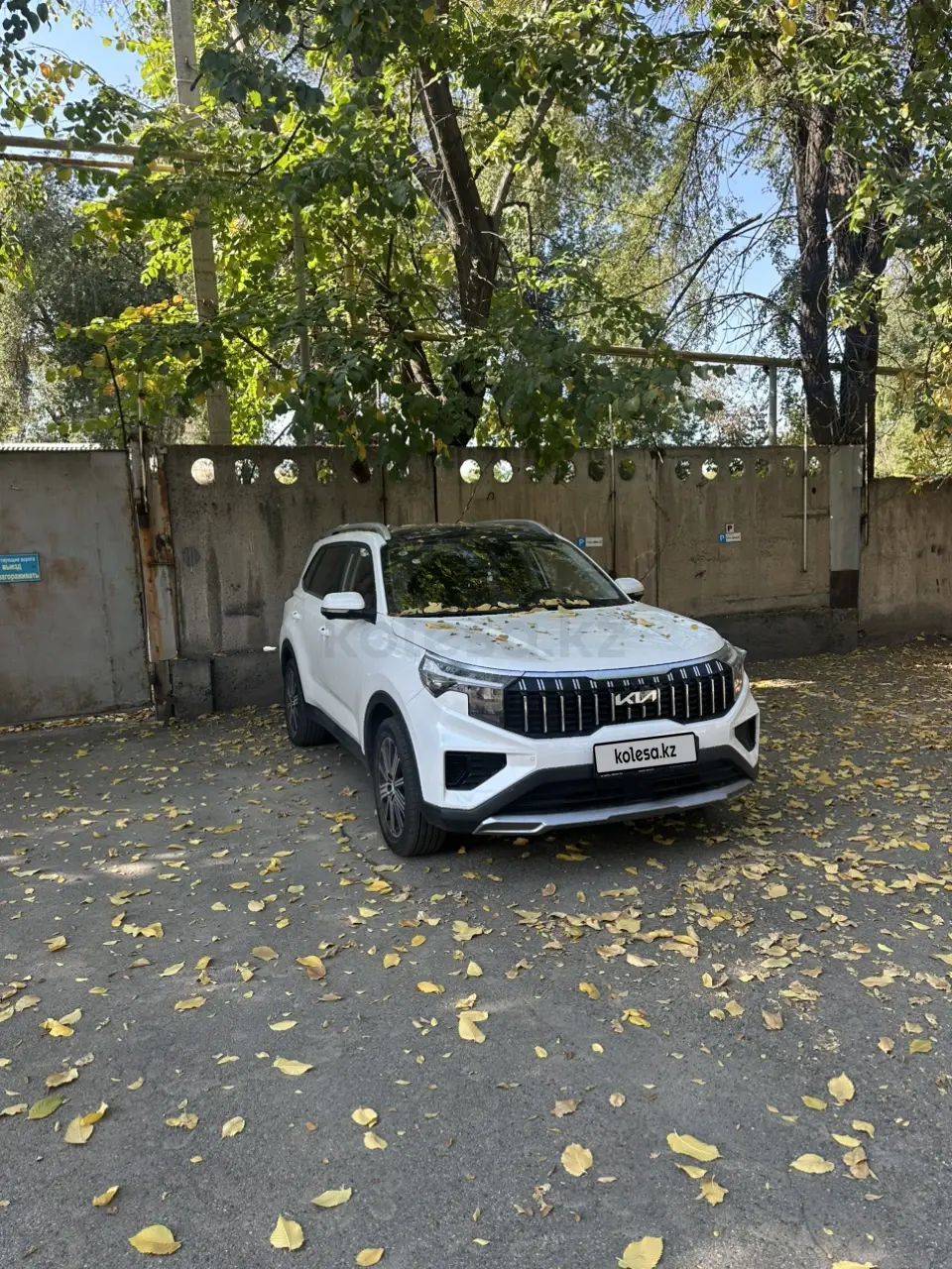 Kia Sportage, 2024