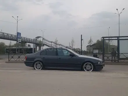BMW 528 2001 года за 4 000 000 тг. в Алматы – фото 4
