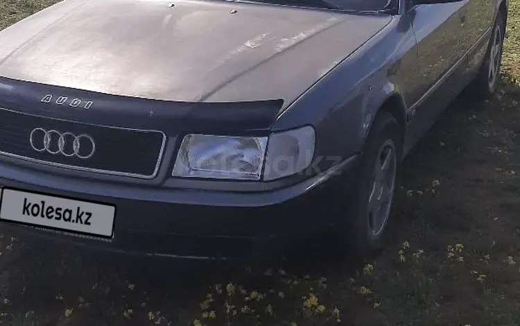 Audi 100 1993 годаүшін2 300 000 тг. в Караганда