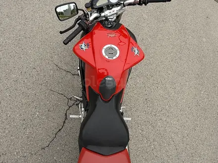 MV Agusta  Brutale 750 2004 года за 6 000 000 тг. в Алматы – фото 17
