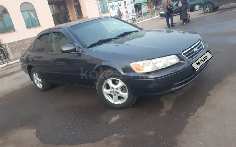 Toyota Camry 1999 годаүшін3 800 000 тг. в Мерке