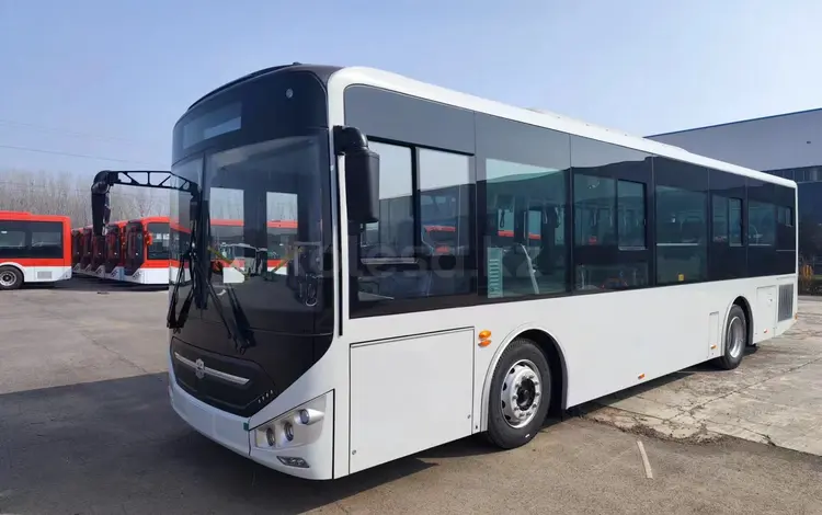 Zhong Tong  6105 2026 года в Алматы