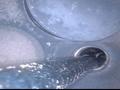 Двигатель на запчасти мотор фв шкода 1, 2 л ввм за 100 000 тг. в Караганда – фото 11