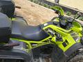 BASHAN  Explorer 300 2024 года за 1 650 000 тг. в Семей – фото 4