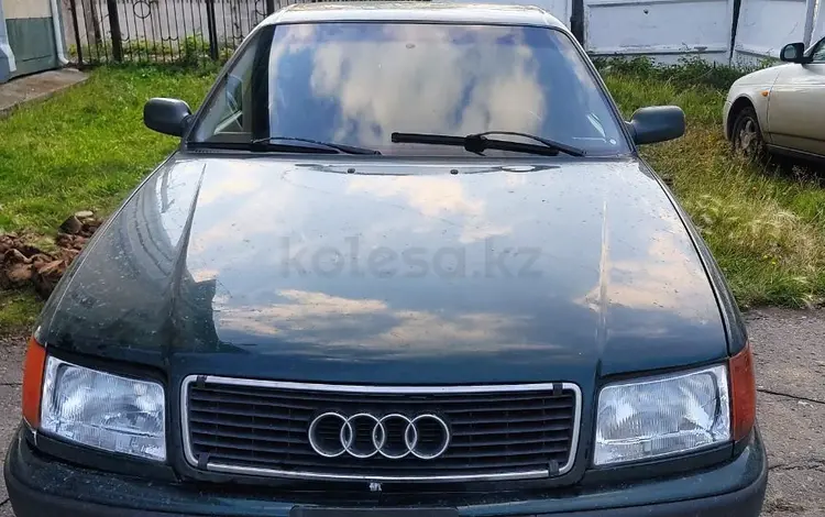 Audi 100 1993 годаүшін1 500 000 тг. в Петропавловск