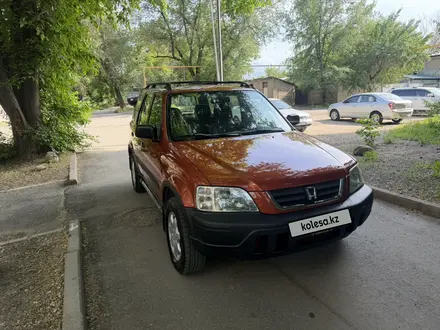 Honda CR-V 1998 года за 3 700 000 тг. в Алматы – фото 3