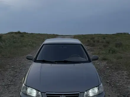 Toyota Camry 2000 года за 4 400 000 тг. в Шымкент