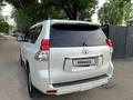 Toyota Land Cruiser Prado 2010 годаүшін15 500 000 тг. в Алматы – фото 5