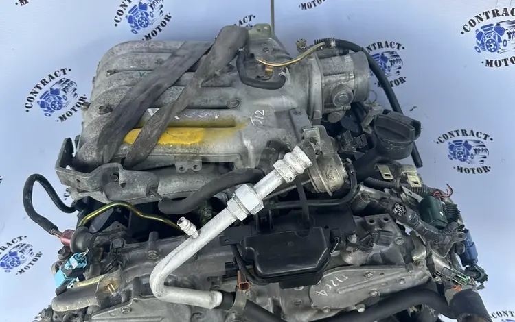 VQ35 двигатель 3.5 Nissan Pathfinder, Nissan Elgrand за 299 000 тг. в Алматы