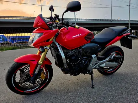 Honda  CB 600F (Hornet) 2007 года за 3 000 000 тг. в Алматы – фото 17